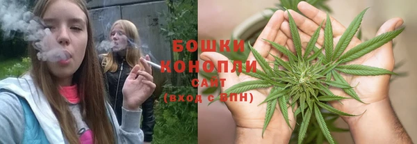 прущие грибы Карпинск