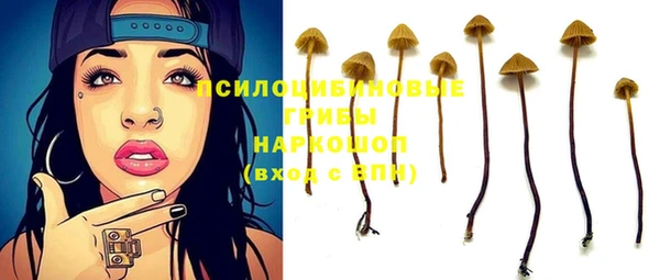 прущие грибы Карпинск