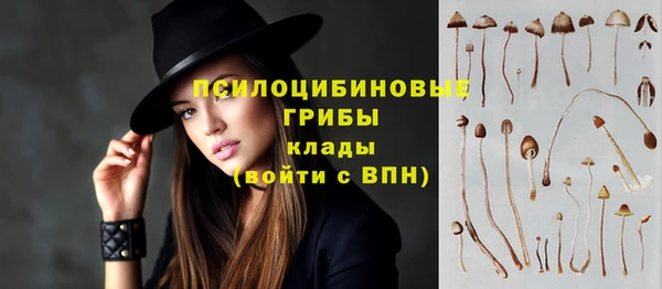 прущие грибы Карпинск