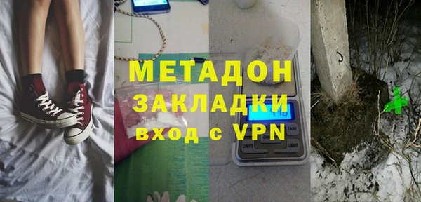 прущие грибы Карпинск