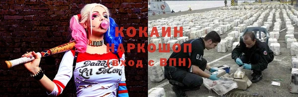 прущие грибы Карпинск