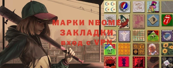 прущие грибы Карпинск