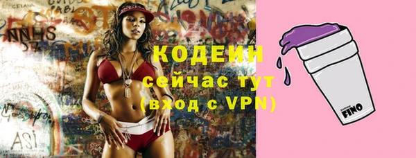 прущие грибы Карпинск