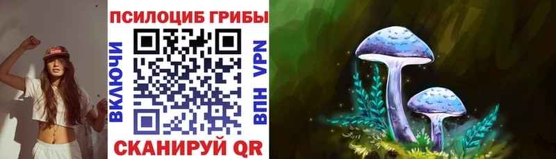 Купить закладки  Казань  Псилоцибиновые грибы GOLDEN TEACHER 